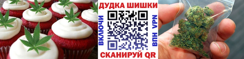 продажа наркотиков  kraken сайт  Cannafood марихуана  Жирновск 