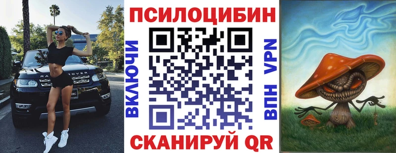 Псилоцибиновые грибы мухоморы где купить наркоту Жирновск